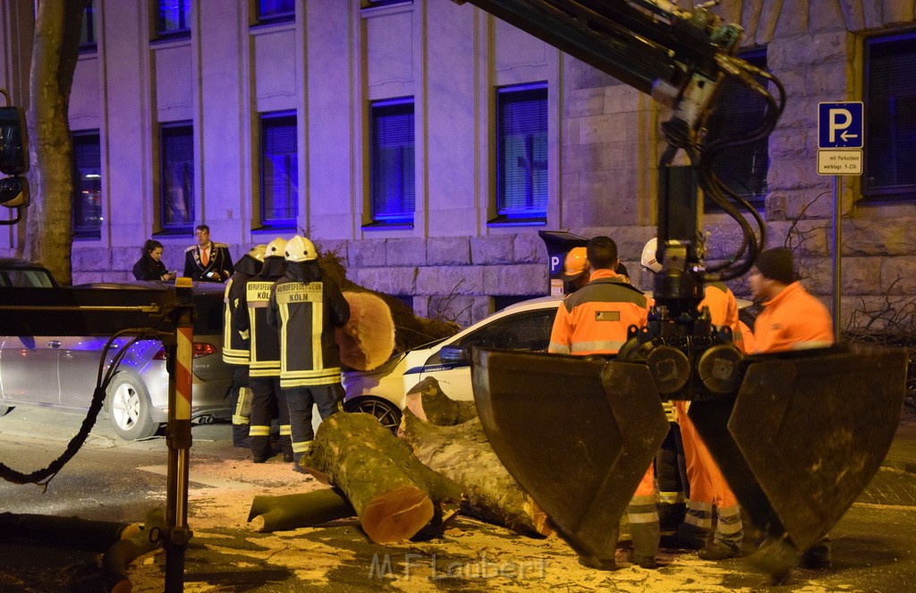 Baum auf PKWs Koeln Mitte Rheinuferstr Goldgasse P093.JPG - Miklos Laubert